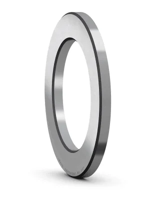 GS 81101 SKF Tělesový kroužek Horká Nabídka