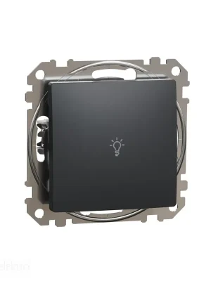 Sedna - Tlačítko 1/0 "světlo" antracit *SDD114132 Schneider electric Vrácení Zdarma