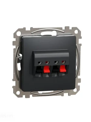 Sedna - Zásuvka reproduktor. dvojitá antracit *SDD114411 Schneider electric Výhodná Nabídka