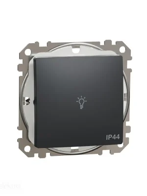 Sedna - Tlačítko 1/0 "světlo" IP44 antracit *SDD214132 Schneider electric Objednat Nyní