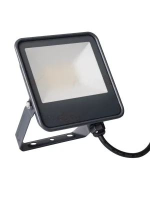 Výprodej Svítidlo LED FL-30W-NW reflektor barva černá 33882 Kanlux