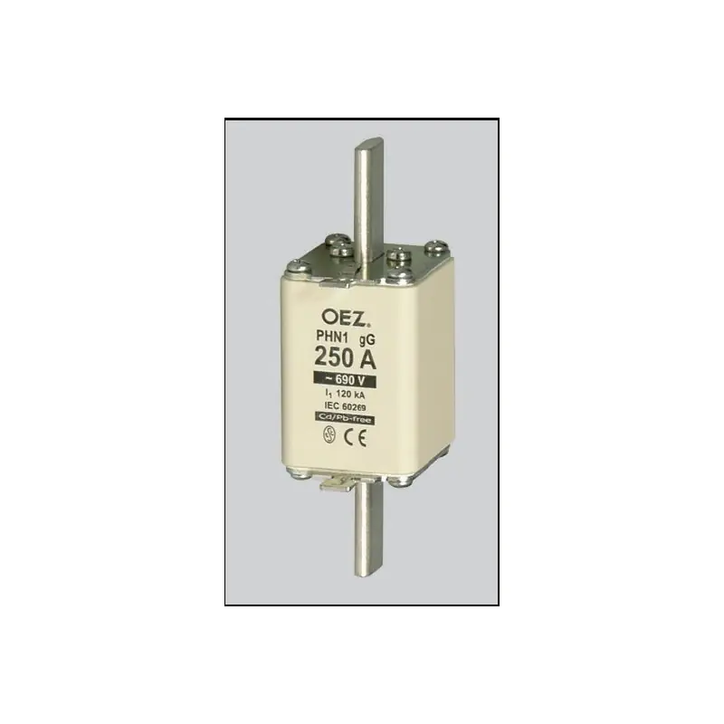 Pojistka PNA 1 160A GG 40439 Vysoce Kvalitní