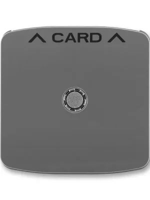 Tango 3559A-A00700 S2 kryt spínače kartového, s čirým průzorem barva kouřová šedá *ABB Nejprodávanější