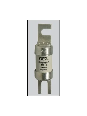 Akce Pojistka P50N06 40A gR 06610