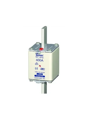 Pojistka ESD63M100 415V AC 100A gM Top Prodej