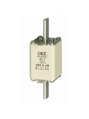 Pojistka P51U06 250A aR 11203 Levný