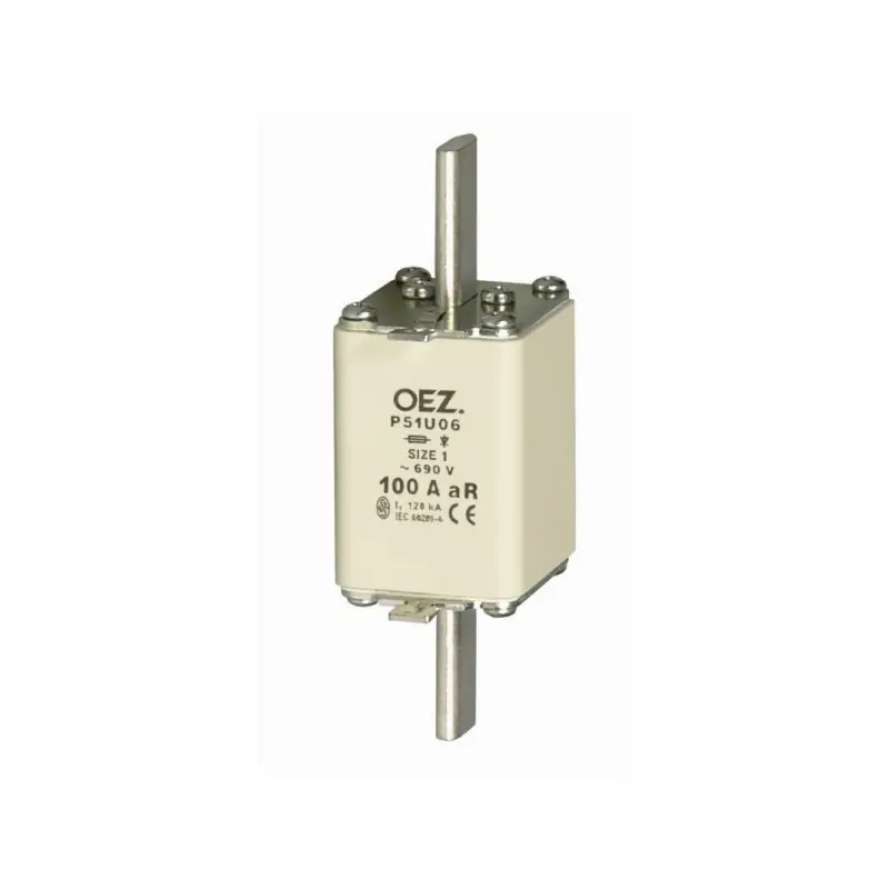 Pojistka P51U06 250A aR 11203 Levný