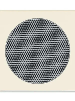 Top Prodej Levit® 5016H-A00075 17 kryt pro reproduktor, s kulatou mřížkou (AudioWorld) barva slonová kost * ABB