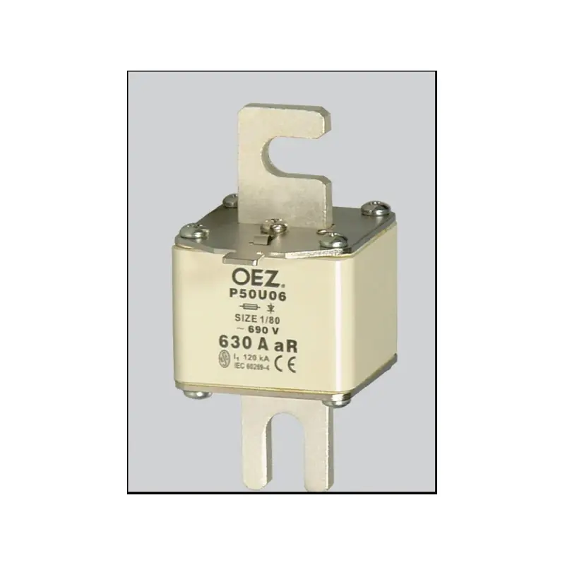Expresní Doručení Pojistka P50U06 250A aR 10546