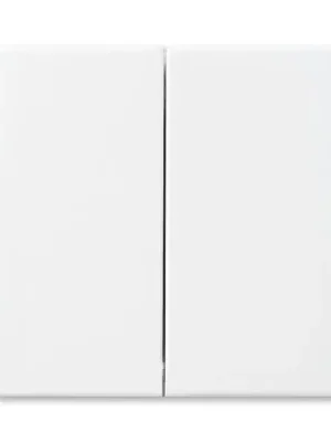 Future® linear 2CKA006730A0136 kryt pro Friends of Hue smart switch barva studio bílá ABB Vrácení Zdarma