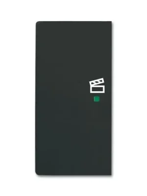 FREE@HOME Kryt 2násobný levý, symbol „scény“ *2CKA006220A0626 mechová černá ABB Nejlepší Volba