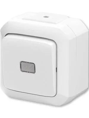 Přepínač střídavý s čirým průzorem, se svorkou N, řaz. 6S a 6So, IP54, bezšr. sv. *3559N-C25511 B bílá ABB Rychlé Dodání
