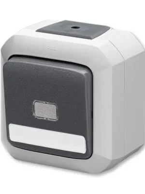 Přepínač střídavý s čirým průz., s pop. pol., se sv. N, ř. 6S a 6So, IP54, bezšr. sv. *3559N-C25512 S šedá ABB Časově Omezené