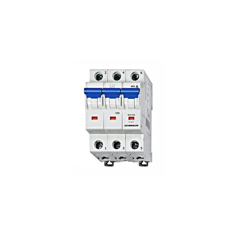 Ověřený Jistič D 6A/3/D BM019306 SCH