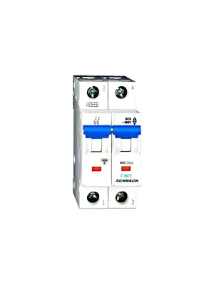 Jistič C 16A/2/C BM017216 SCH Rychlé Dodání