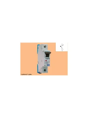 Koupit Online Jistič PR 61J-M 25A/1/J-M 10kA SEZ