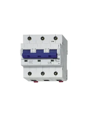 Bezpečná Platba Jistič LH 100A/3/B BR583910 SCH