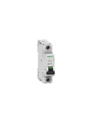 Jistič A9N C60H 2/C/1DC 61502 250V Nakupujte Hned