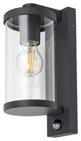 Venkovní nástěnné svítidlo se senzorem Rabalux Silistra 7892 1xE27 60W IP44 antracit Super Cena