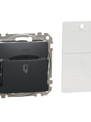 Expresní Doručení Spínač pro hotelové karty Schneider Electric Sedna Design SDD114121 antracit