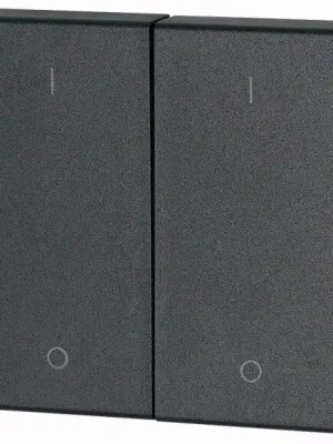 Originální CWIZ-02/14 Kryt RF tlačítka 2x1/2 55x55